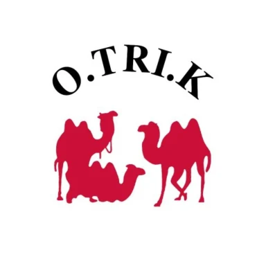 OTRIK logo